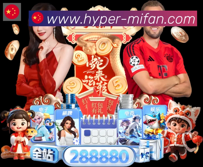 未来规划